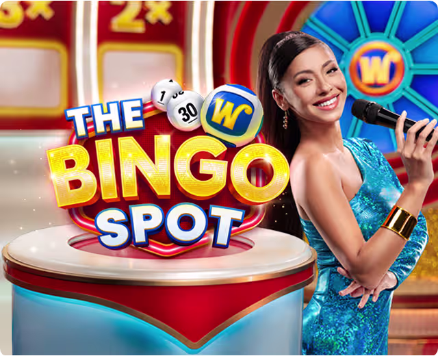The Bingo Spot